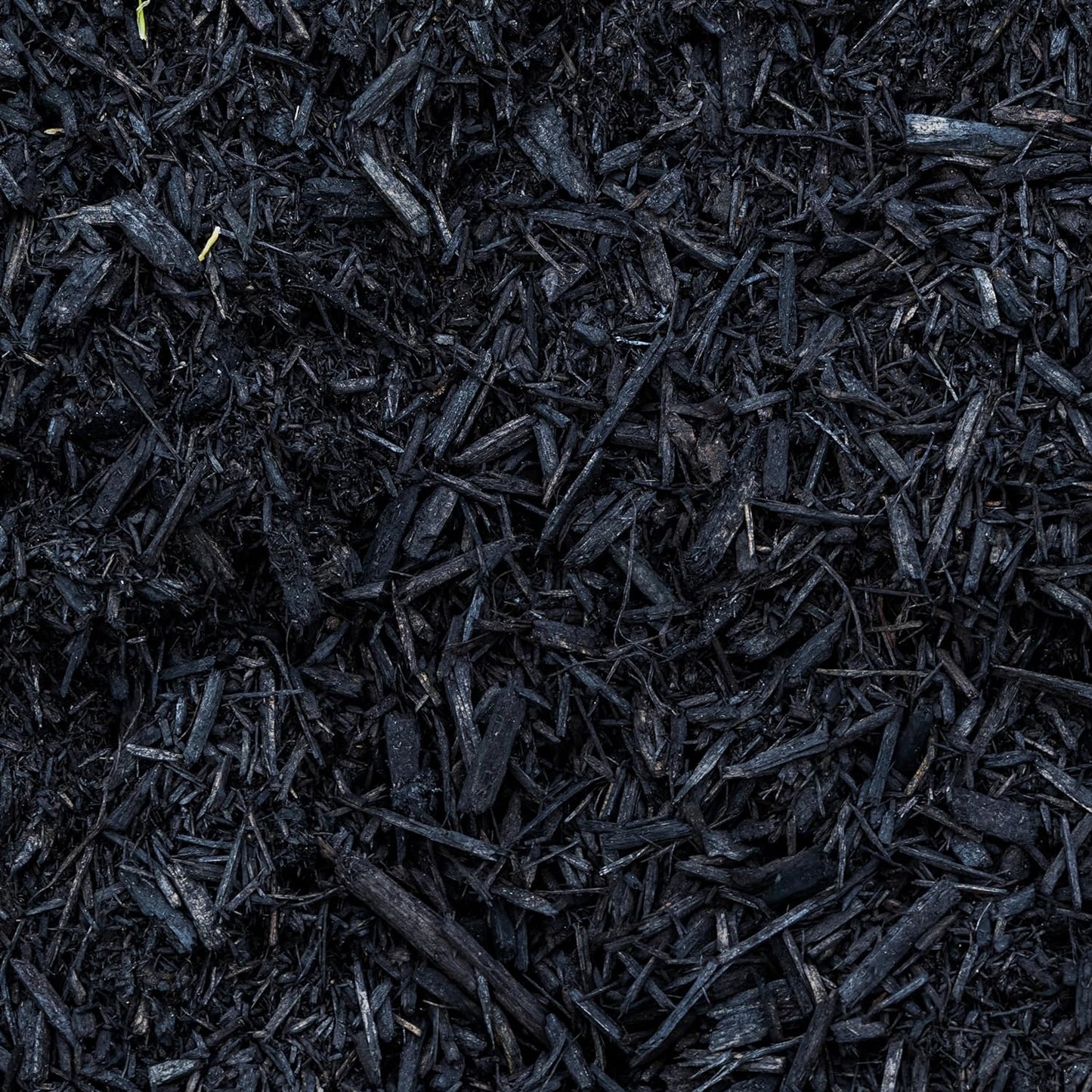 Premium Black Wood Mulch for Landscaping, Gardens, Lawns, Potting Media, and Potted Plants (0.3 CF - 8 L - 9 QTS)
