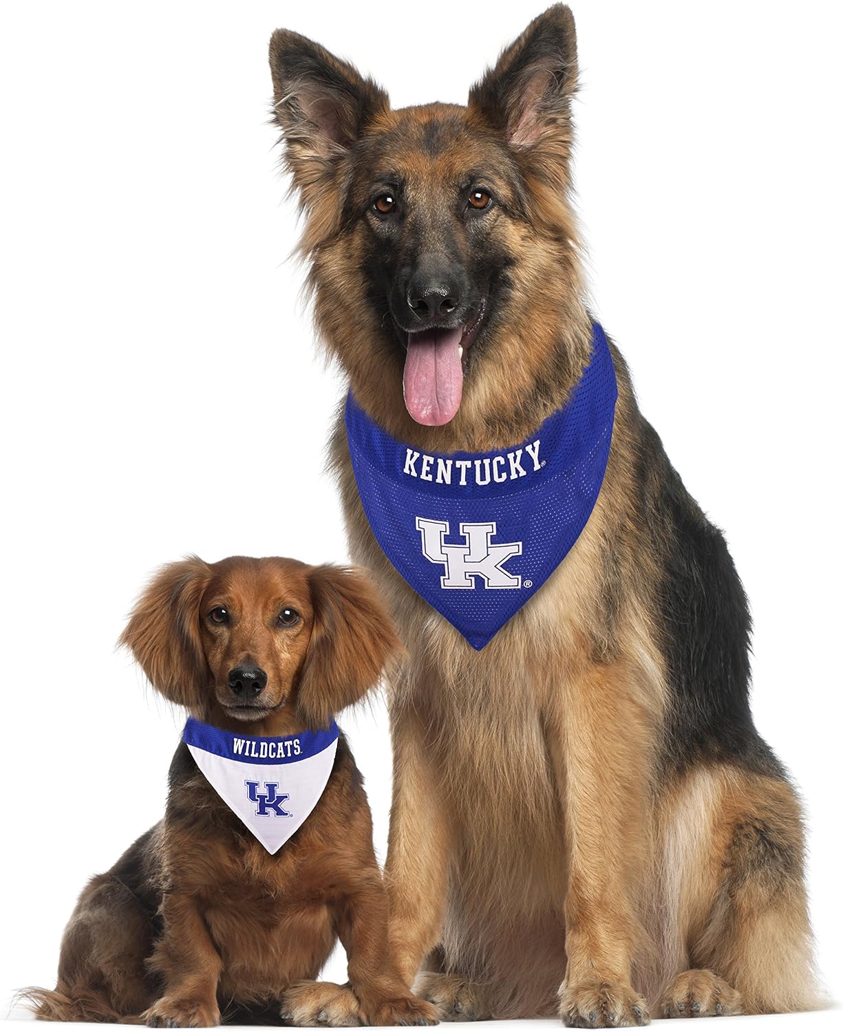 Pets First Collegiate Pet Accessories, Reversible Bandana, Kentucky Wildcats, Small/Medium