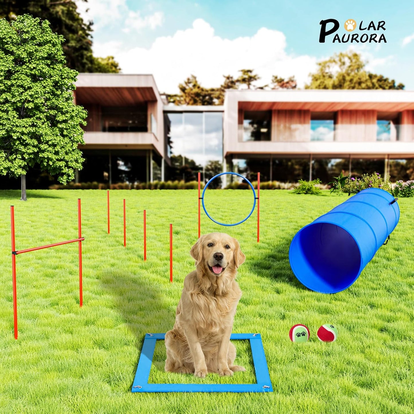 Polar Aurora Dog Agility Equipment, Dog Obstacle Courses Backyard - Pet Outdoor Games w/Adjustable High Jump, Agility Weave Poles, Tunnel, Jumping Ring, Pause Box, 2 Balls,Whistle and Carrying Bag