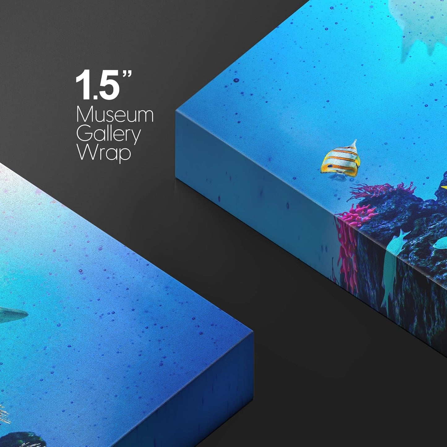 wall26 Canvas Print Wall Art Vibrant Coral Reef Shark Fish Anemone Reef Nature Animals Photography Realism Rustic Scenic Landscape Wilderness Earth for Living Room, Bedroom, Office - 32"x48"