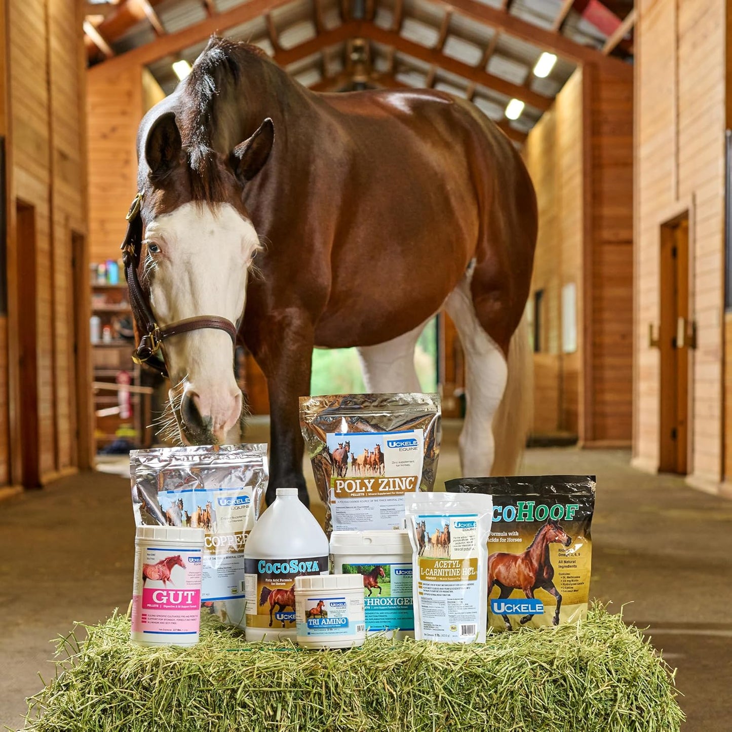 Uckele by SmartEquine Horse Biotin Powder | Hoof Supplement for Horses | Biotin for Horses | Includes Zinc and Methionine | 18 oz Jar