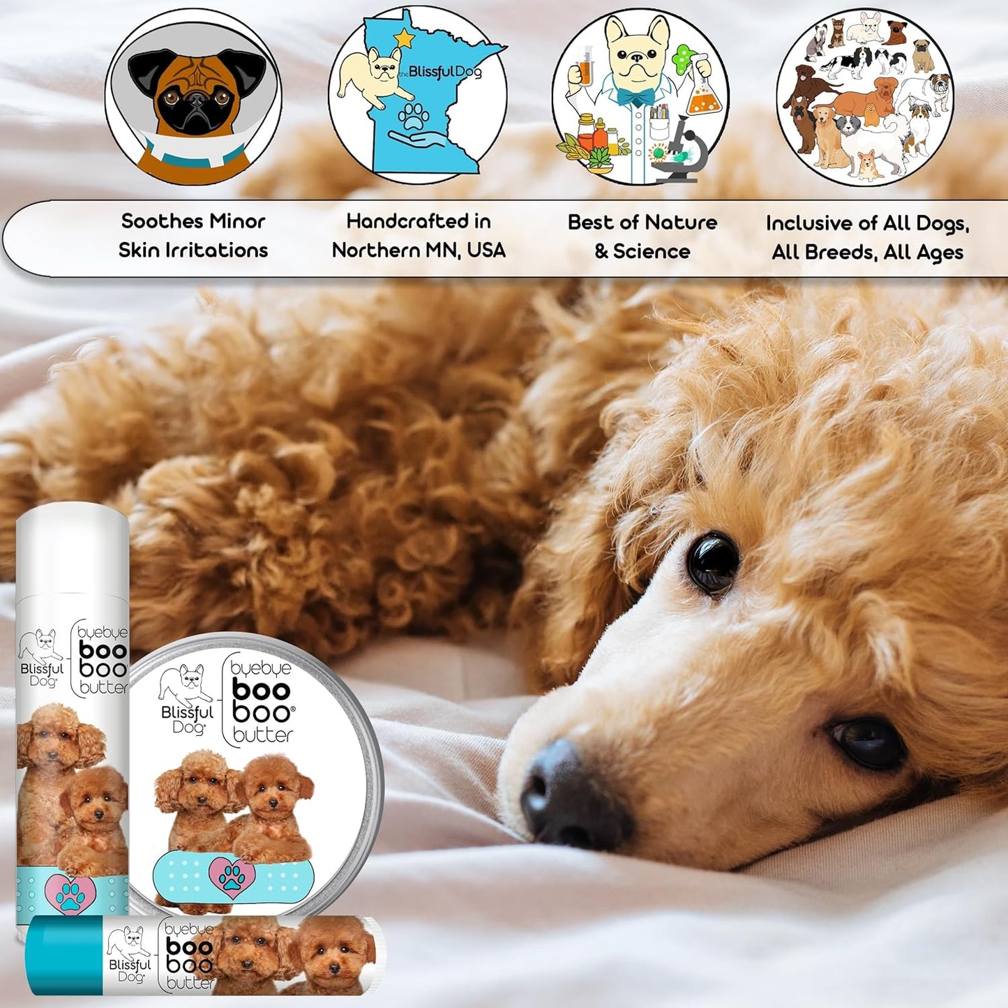 The Blissful Dog 8 oz TIN Poodle Booboo Butter