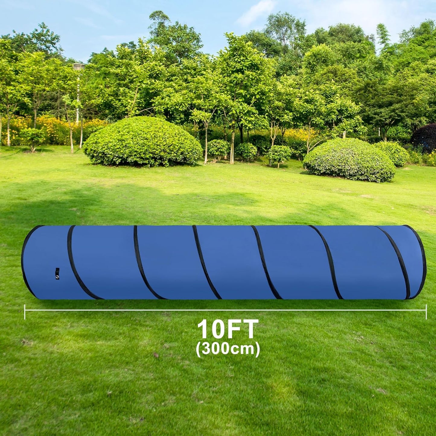 Dog Agility Tunnel, Dog Agility Equipment, Dog Agility Training with Carry Bag (Blue)