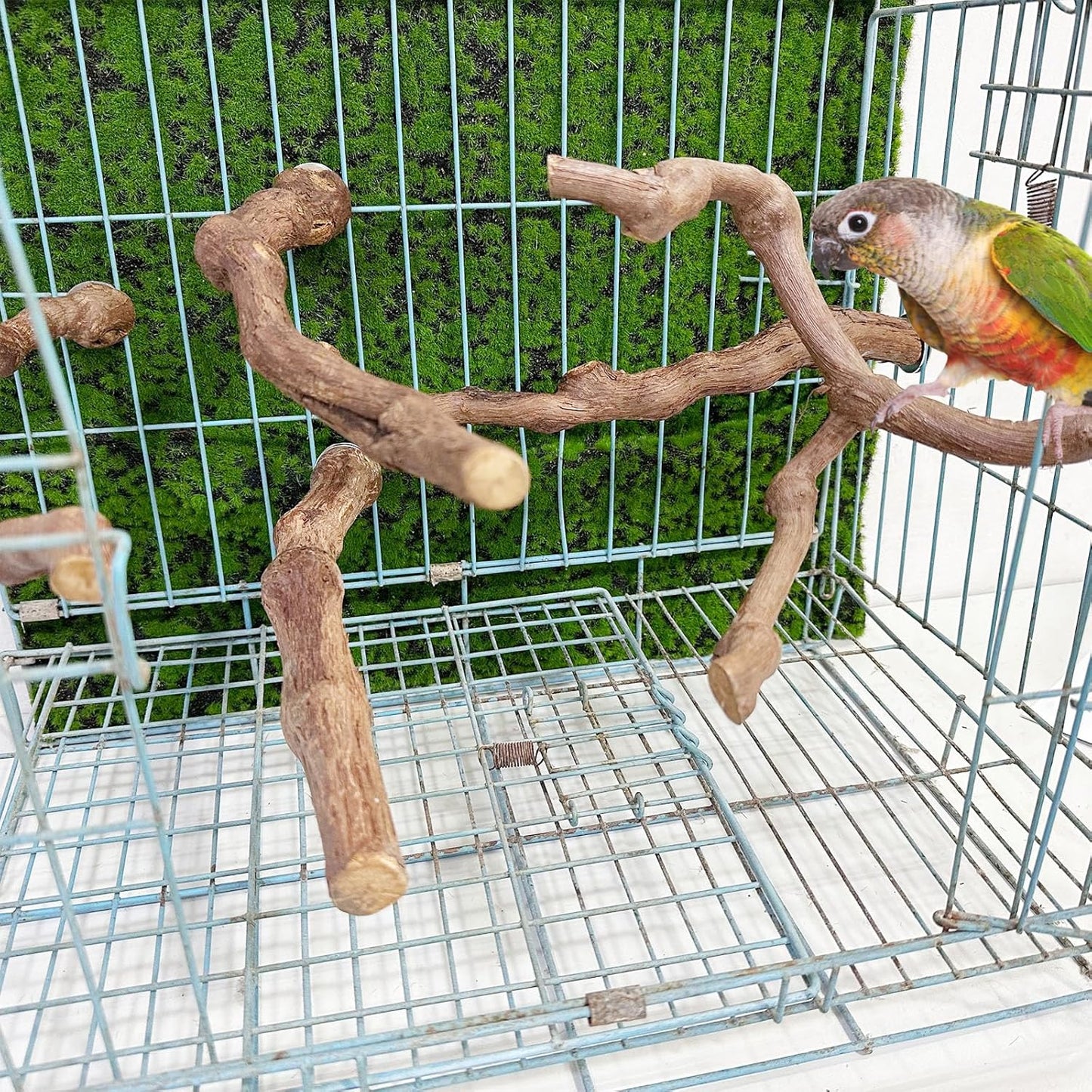 Allazone 5 PCS Natural Grape Stick Perch Swing Chewing Toys for Parrot Cages, Cockatiels, Parakeets, Finches - Bird Standing Stick