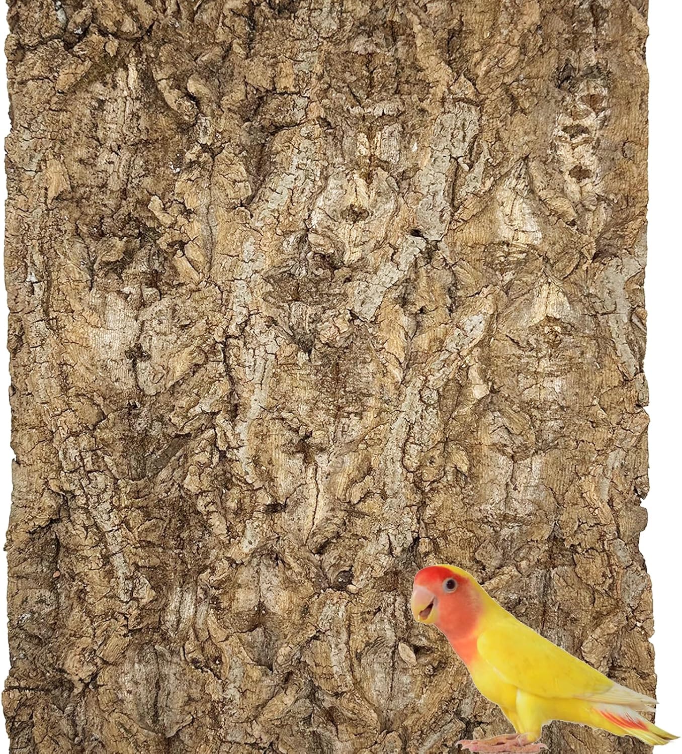 Allazone Natural Cork Perch, Bird Cork Seat Boards, Cork Bark Toy, Parrot Chewing Toy Bird Cork Perch Stand for Bird Budgie Parrot Cockatiel Hamster Guinea Pig Rat (1PCS, 30 x 40cm)