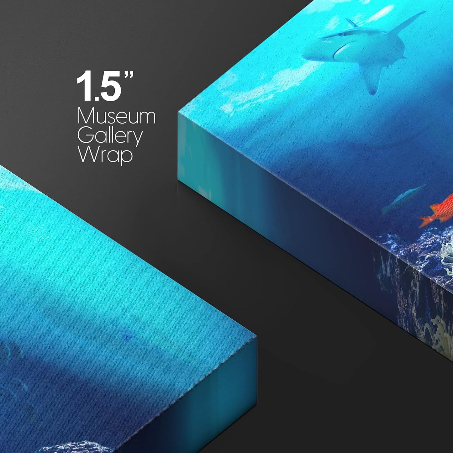 wall26 Canvas Print Wall Art Shining Sunlight Coral Reef Shark & Fish Nature Animals Photography Realism Rustic Scenic Landscape Wilderness Earth Colorful for Living Room, Bedroom, Office - 12"x18"