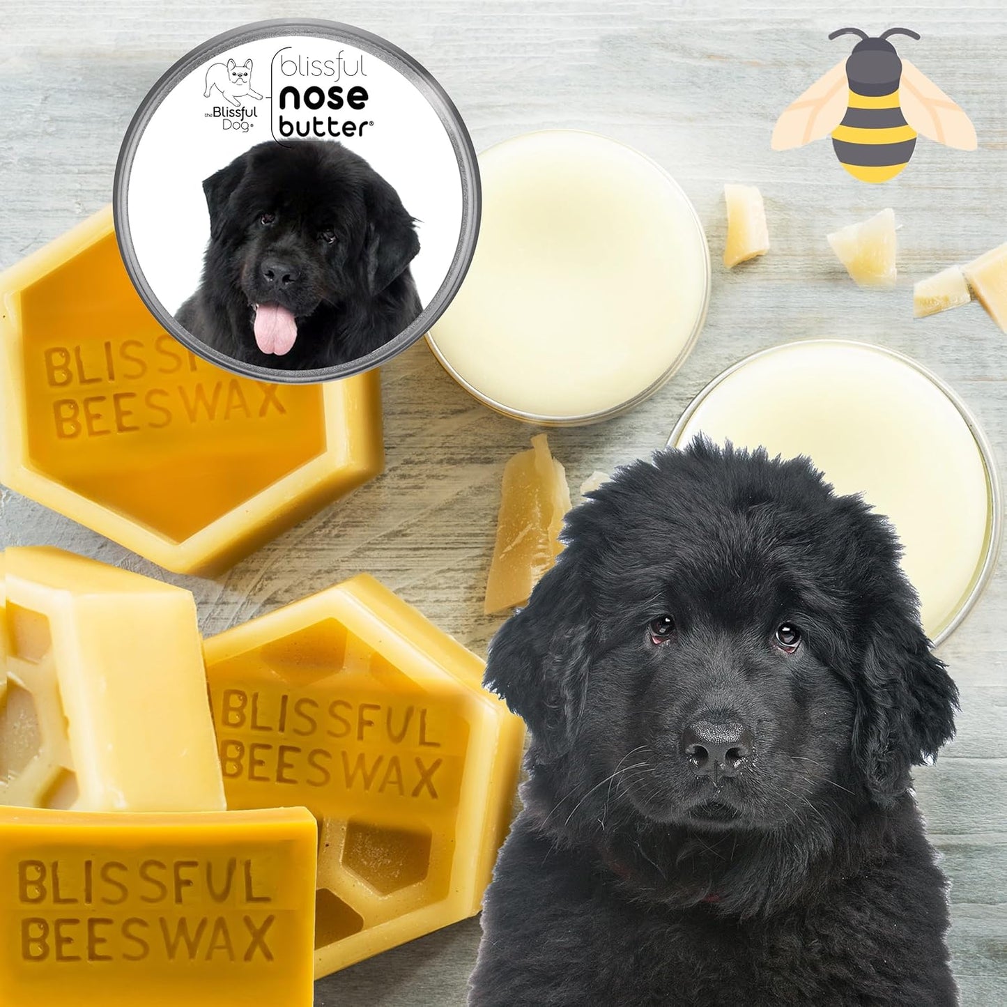 The Blissful Dog Newfoundland Nose Butter for Dry, Cracked Skin, Lick-Safe Dog Nose Balm with Moisturizing Shea Butter, Almond, Olive, and Essential Oils, Pet Supplies, Uncented, 1 oz.