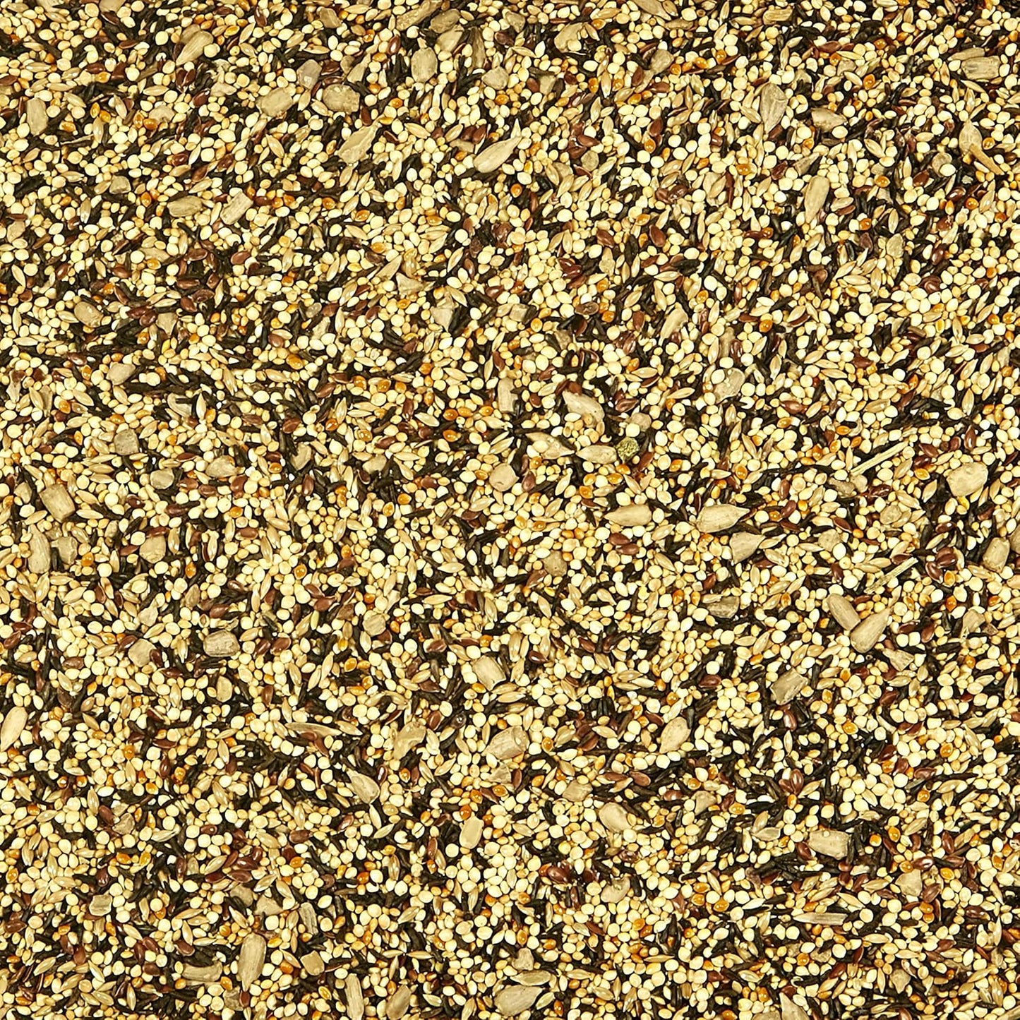 Kaytee Wild Bird Finch Food Blend, 3 lb (Pack of 2)