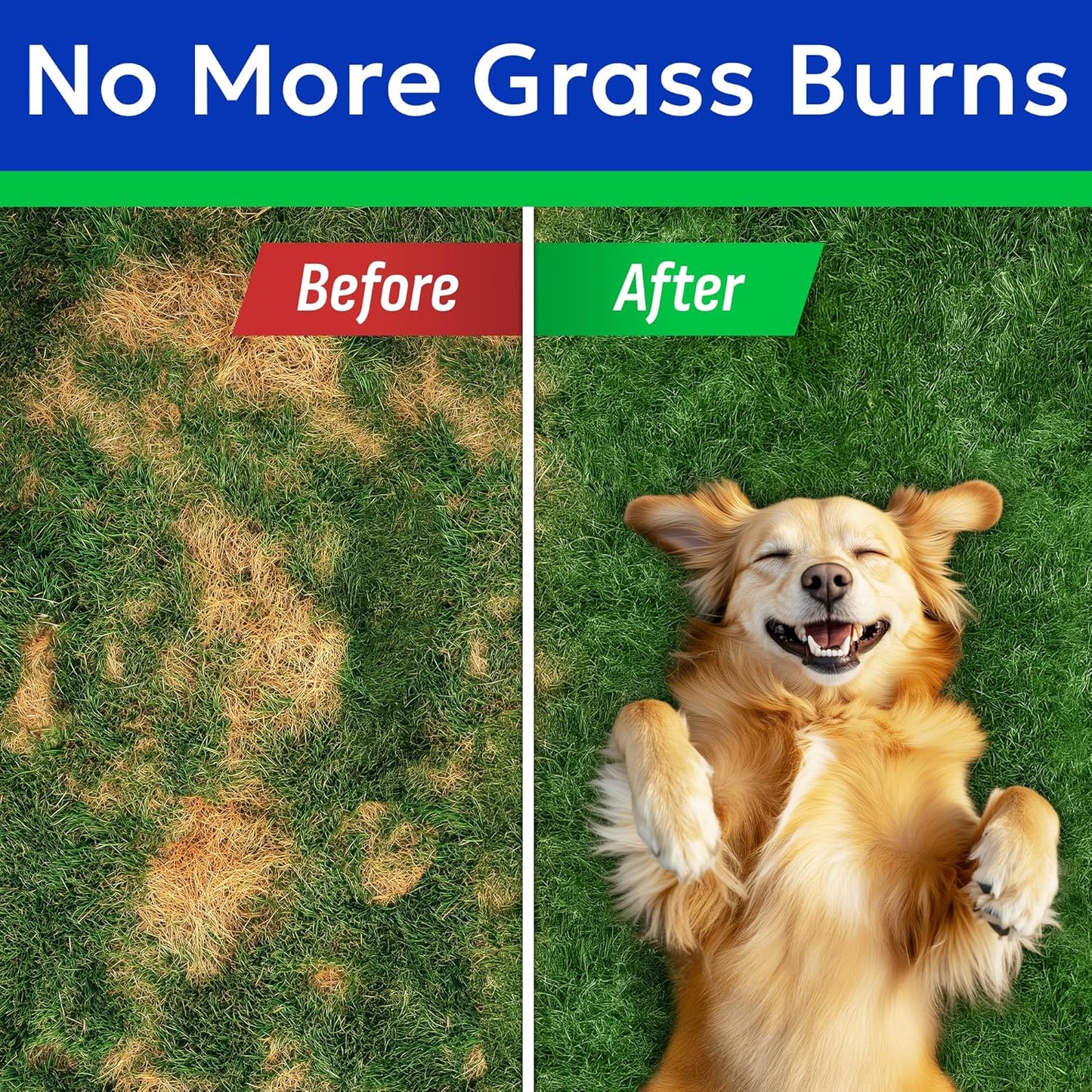 BARK&SPARK Green Grass Chews - Pee Grass Spot Saver Caused by Dog Urine - Urine Neutralizer for Lawn, Gut Health Probiotics & Digestive Enzymes,Lawn Burn from Dog Urine, Grass Burn Spot Chews (240Ct)